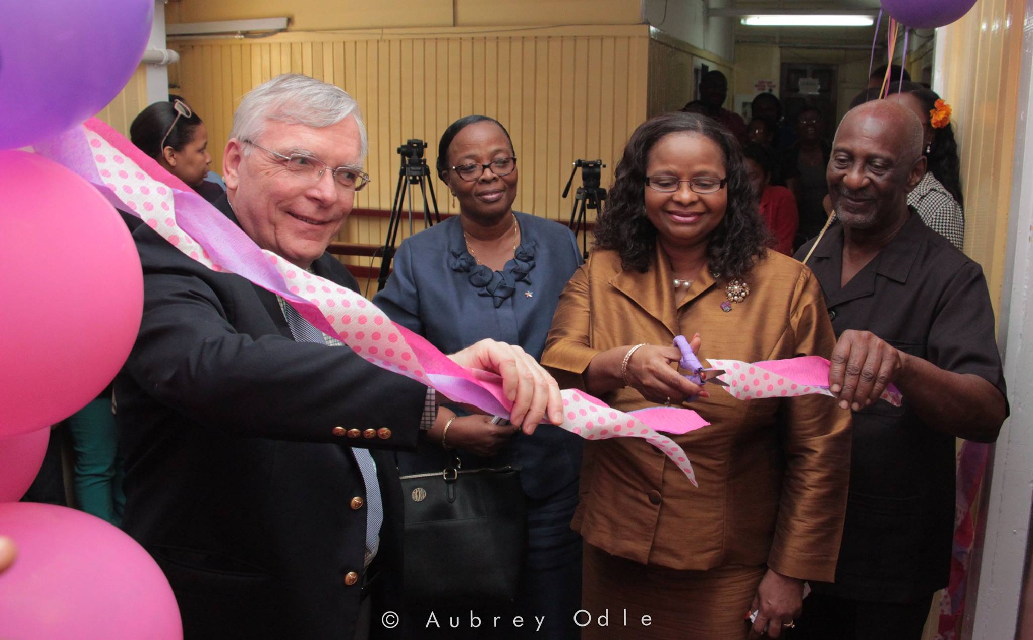 Canada supports Guyana’s Domestic Violence Unit