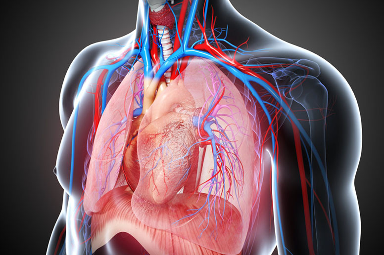 22 Cardiac surgeries completed by Baby Heart Foundation