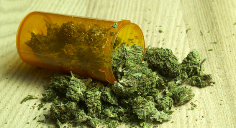 AFC youths pushing for reform of ganja laws