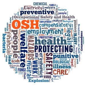 Reflecting on the efforts of our political leaders in ensuring Occupational Health and Safety