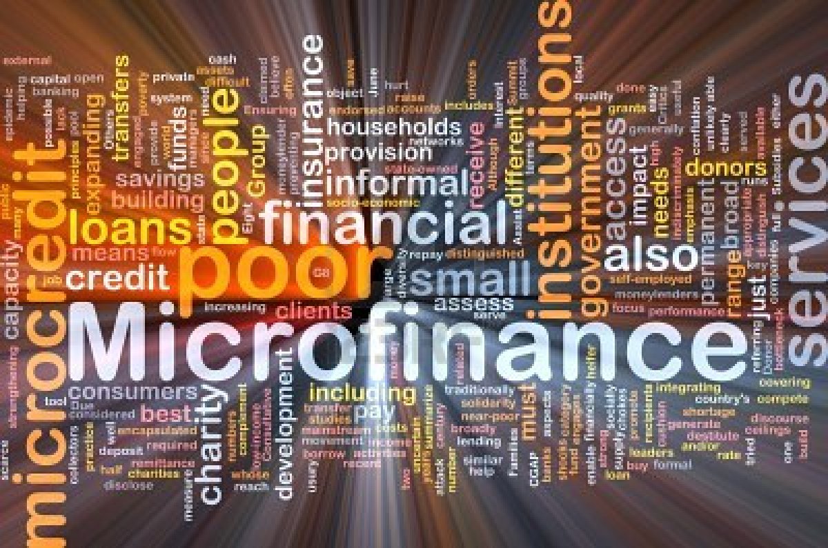 Guyana’s microfinance sector remains stable