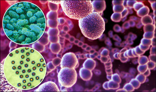 Action plan developed to stem Gastro outbreaks in Region #1