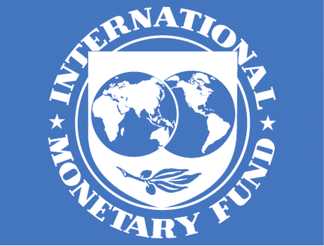 The international monetary system and risk  prevention