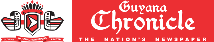 GNNL’s Board of Directors failed to execute duties with due diligence- Audit Report