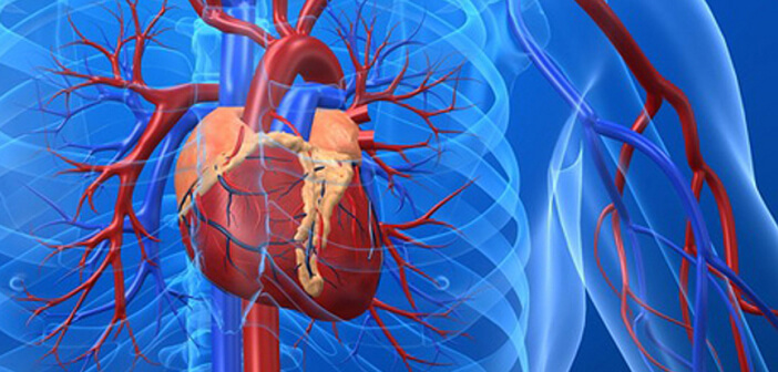 Baby Heart Foundation completes another 13 heart surgeries