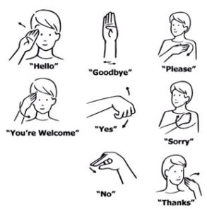 NIDCD-ASL-Phrases