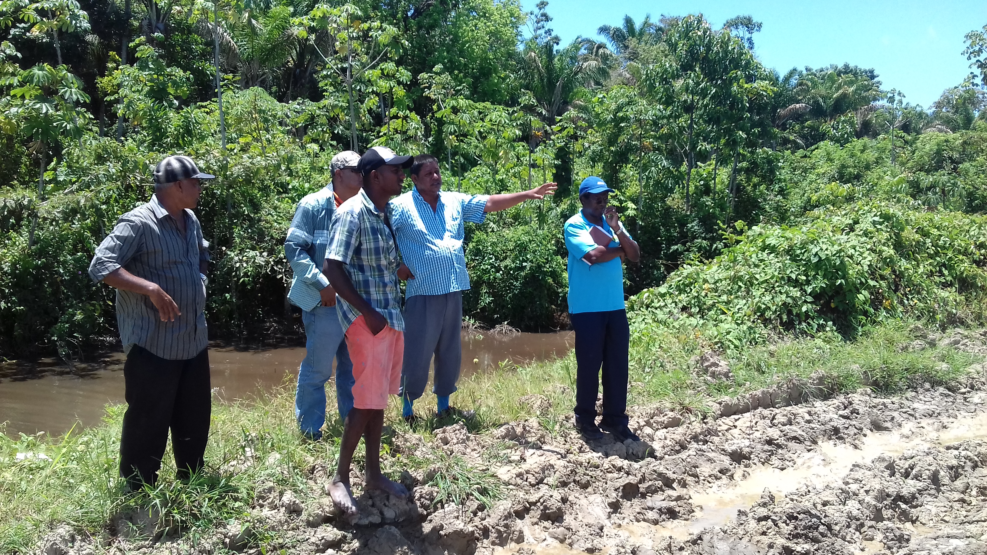 Rice farmers seeking assistance to have canal cleared