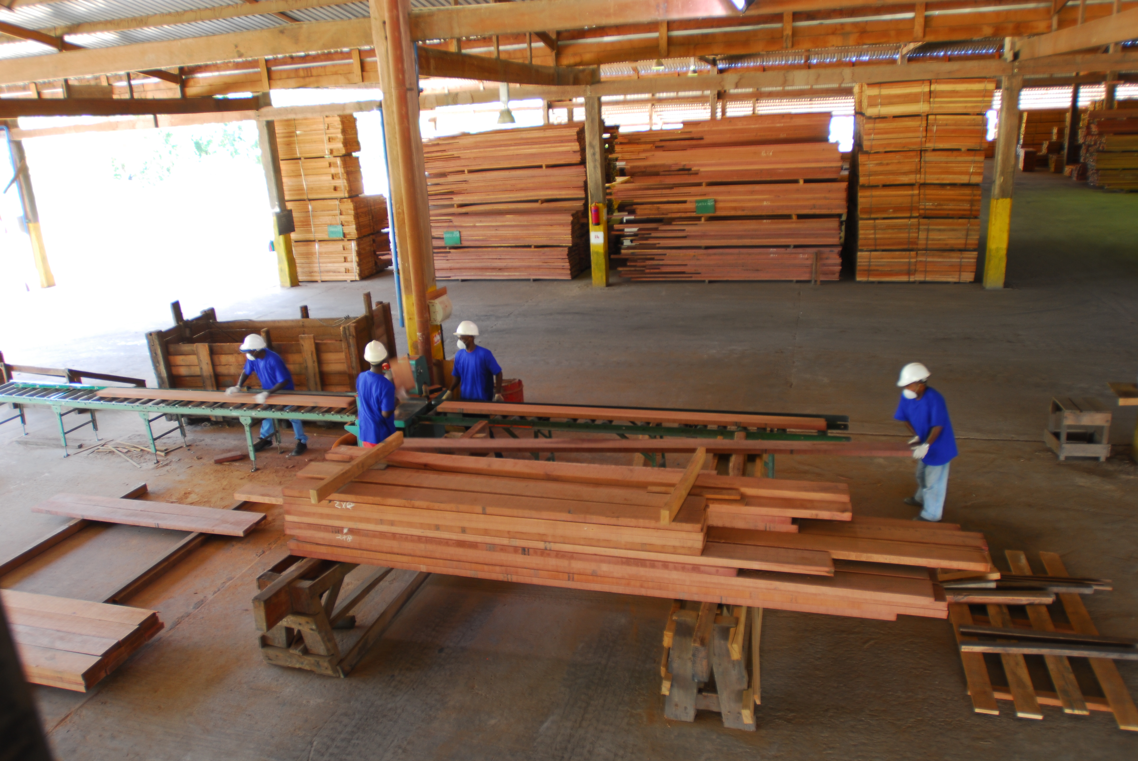 Gov’t to decide on the extension of Barama’s contract by month end