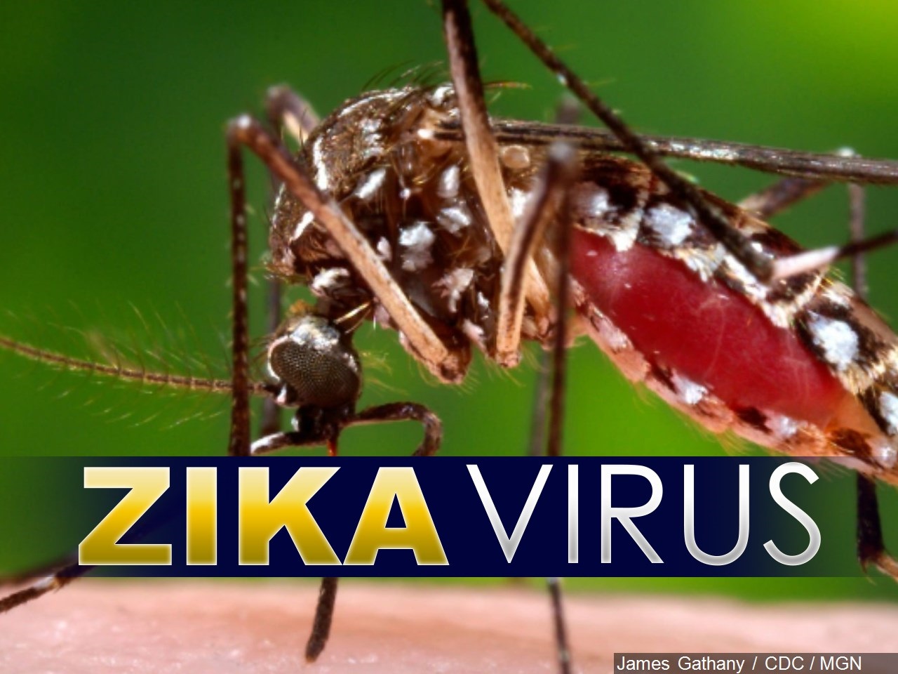 Zika testing at local laboratories within 3 weeks