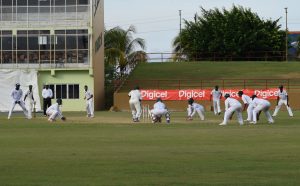Gudakesh Motie bowls with the fielders lurking for a close catch
