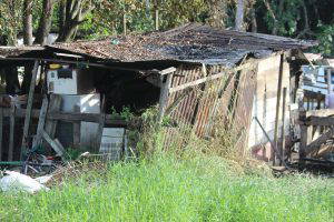 The shack being built 