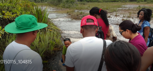 One of the tour guides (in green shirt; partly hidden) has the attention of the group as he speaks about the insect eating plant
