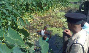 Search being conducted for firearm