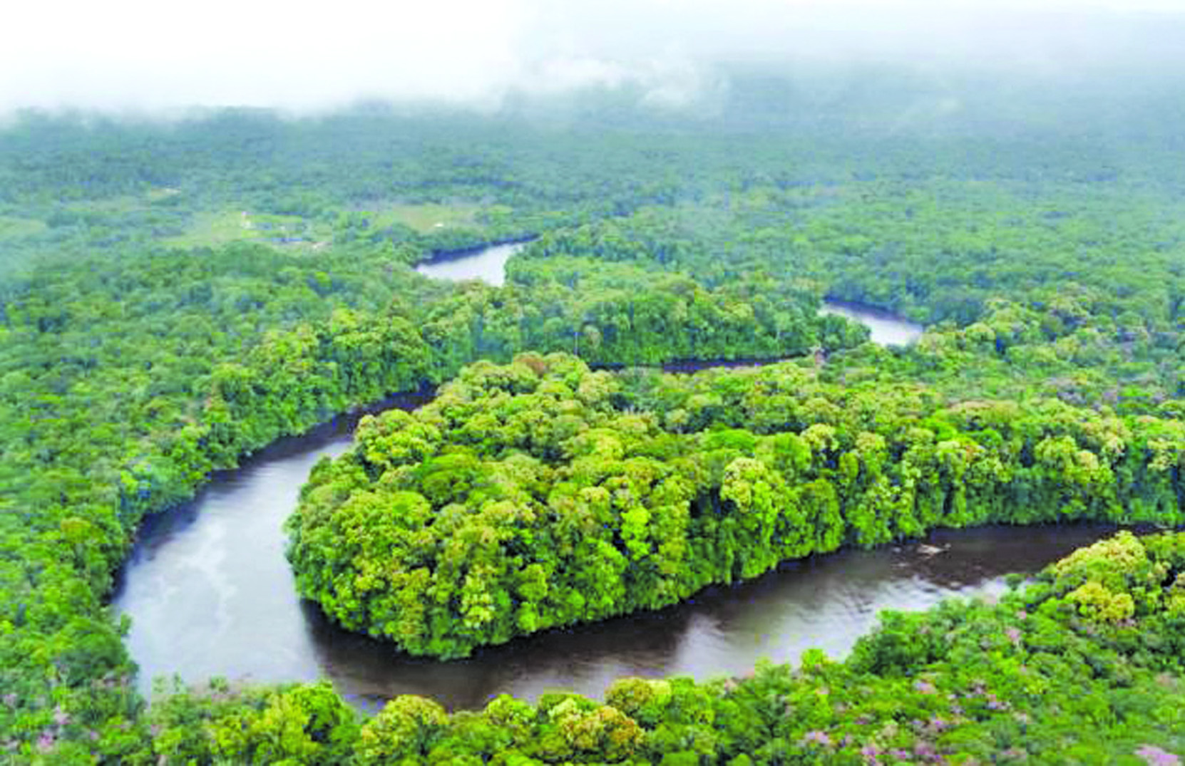 Land Degradation in Guyana is extremely low – GLSC
