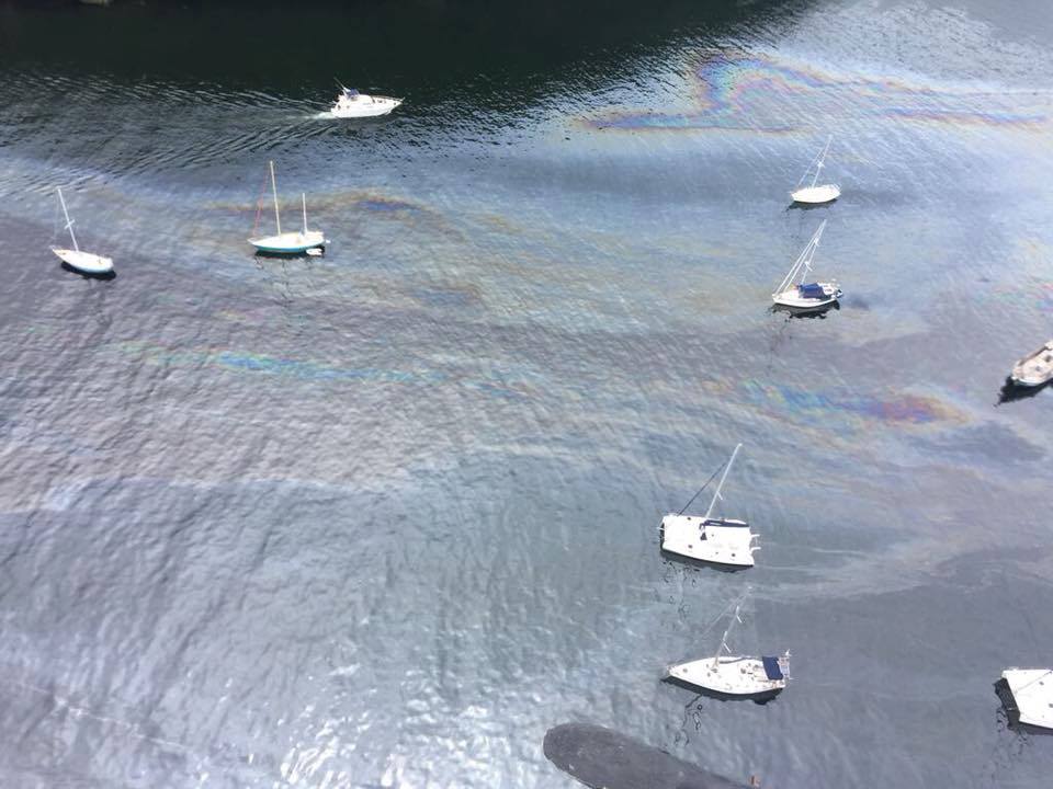 Oil fouls Chaguaramas waters, Boardwalk