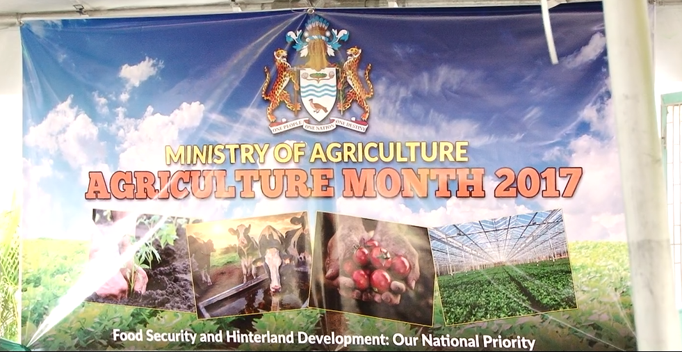 Spotlight on hinterland as Guyana observes Agriculture Month