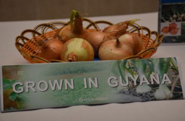 Onion price expected to reduce as NAREI expands cultivation