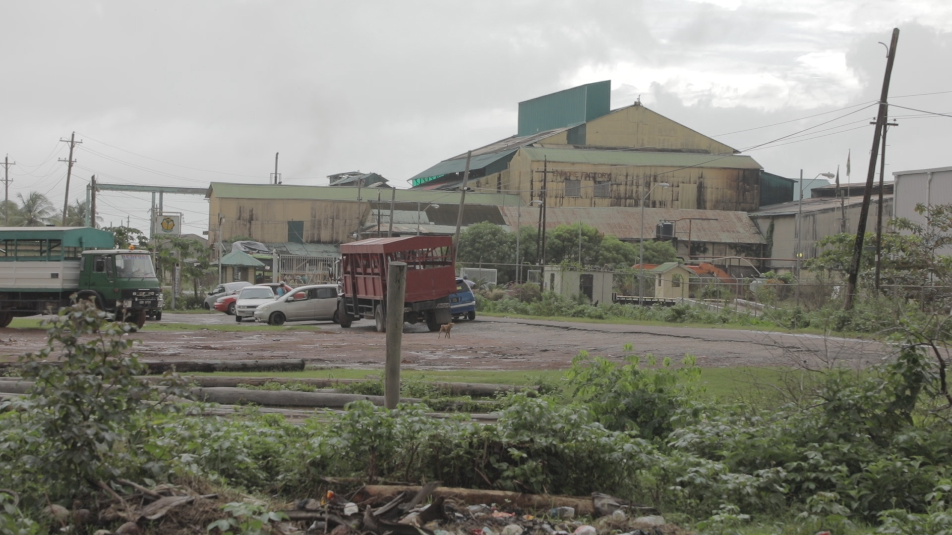 Potential investors to visit sugar estates next month