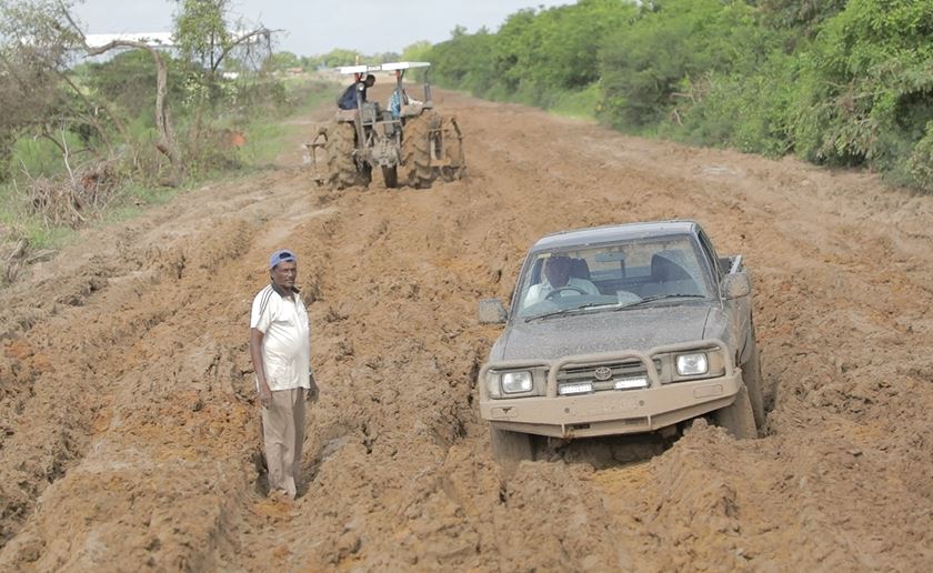 Reg. 5 rice farmers decry slushy trail to farmlands