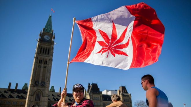 Canada legalises recreational marijuana