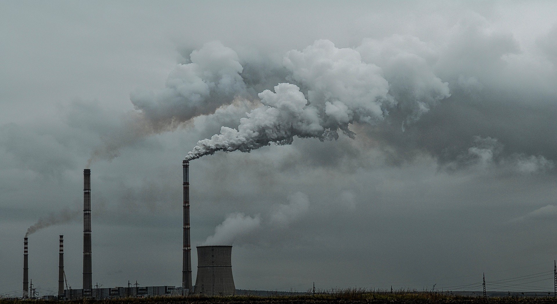 Guyana unlikely to benefit from carbon trading