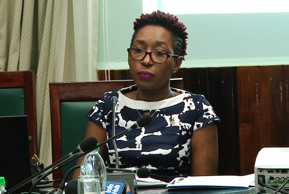 Guyana cannot achieve 100% renewable power by 2025 – officials