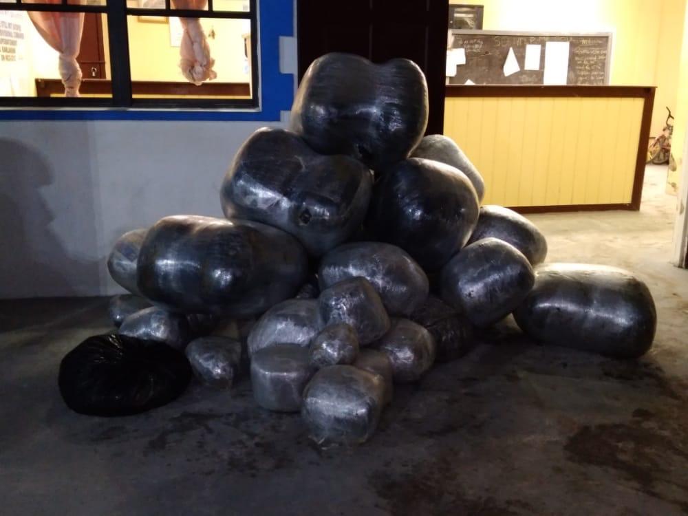 The cannabis seized by the police (GPF/ October 23, 2021)