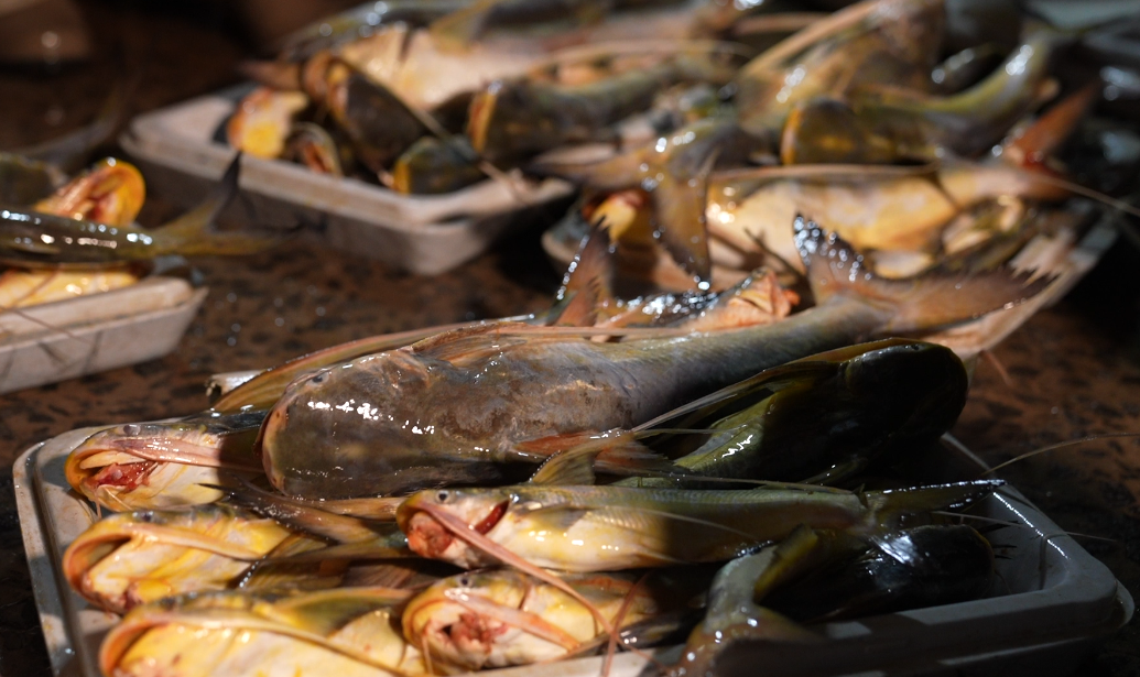 Guyana’s catfish export ban to the U.S likely to be lifted soon