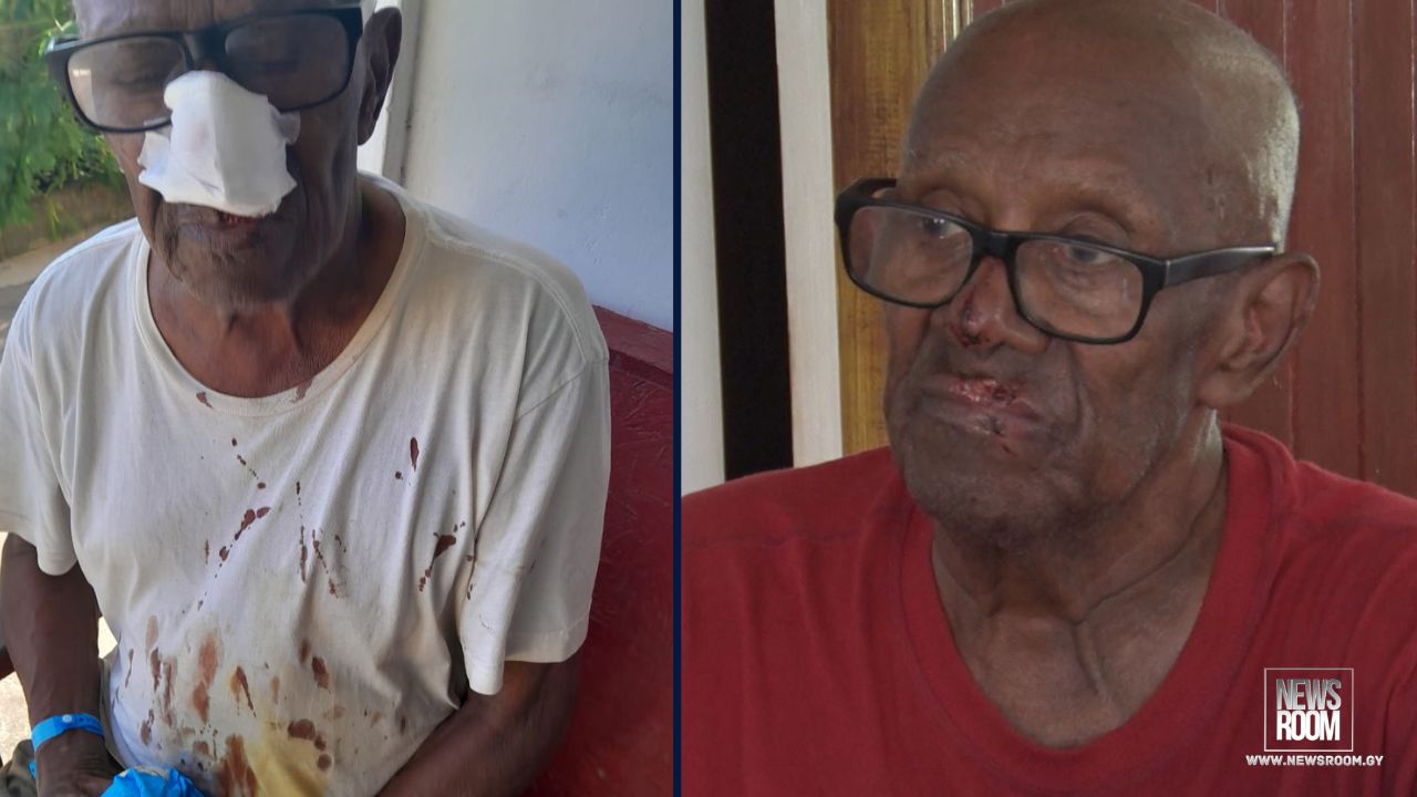 Man, 90, attacked by neighbour’s pitbulls