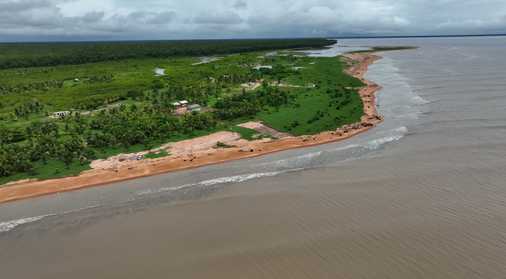 Washed away: People who help protect the turtles losing their home