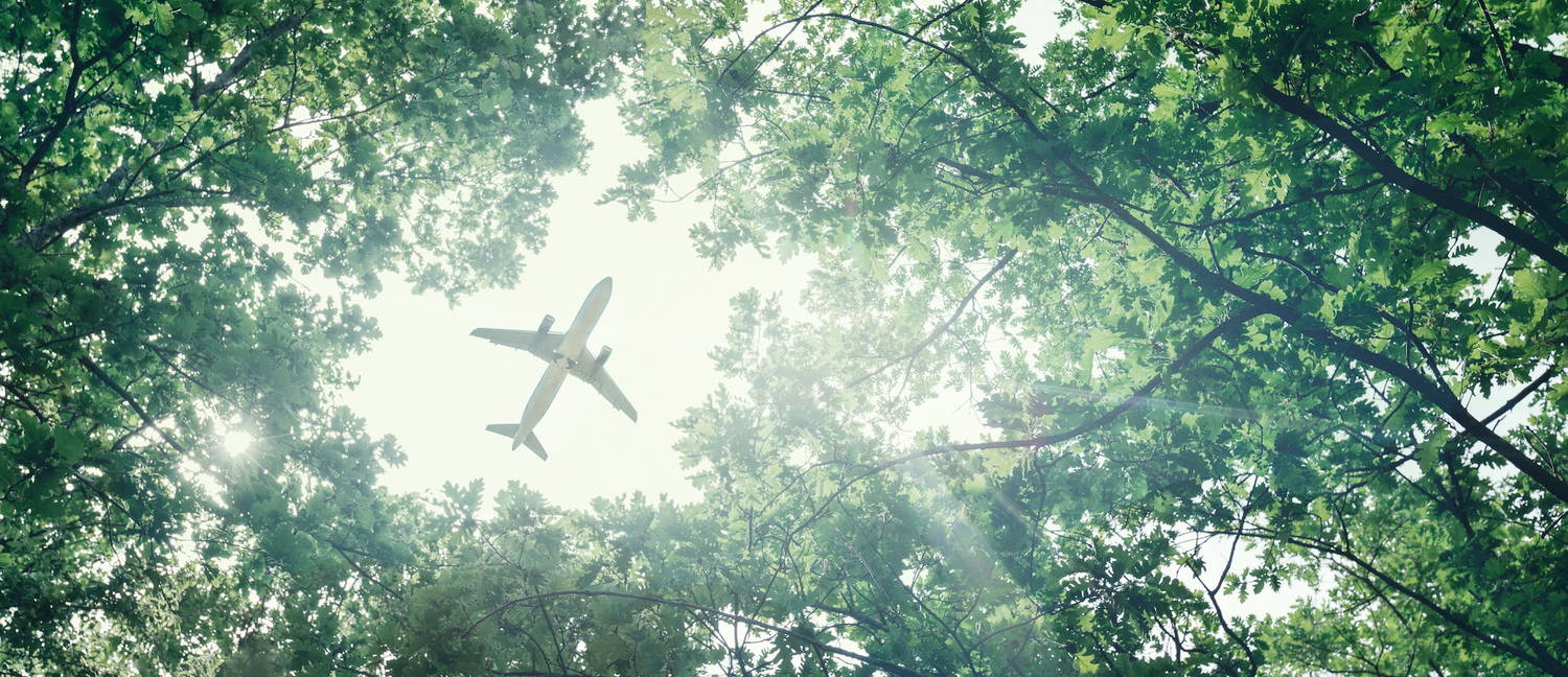 Guyana joins global aviation carbon market alliance as IATA seeks to expand carbon credit supply