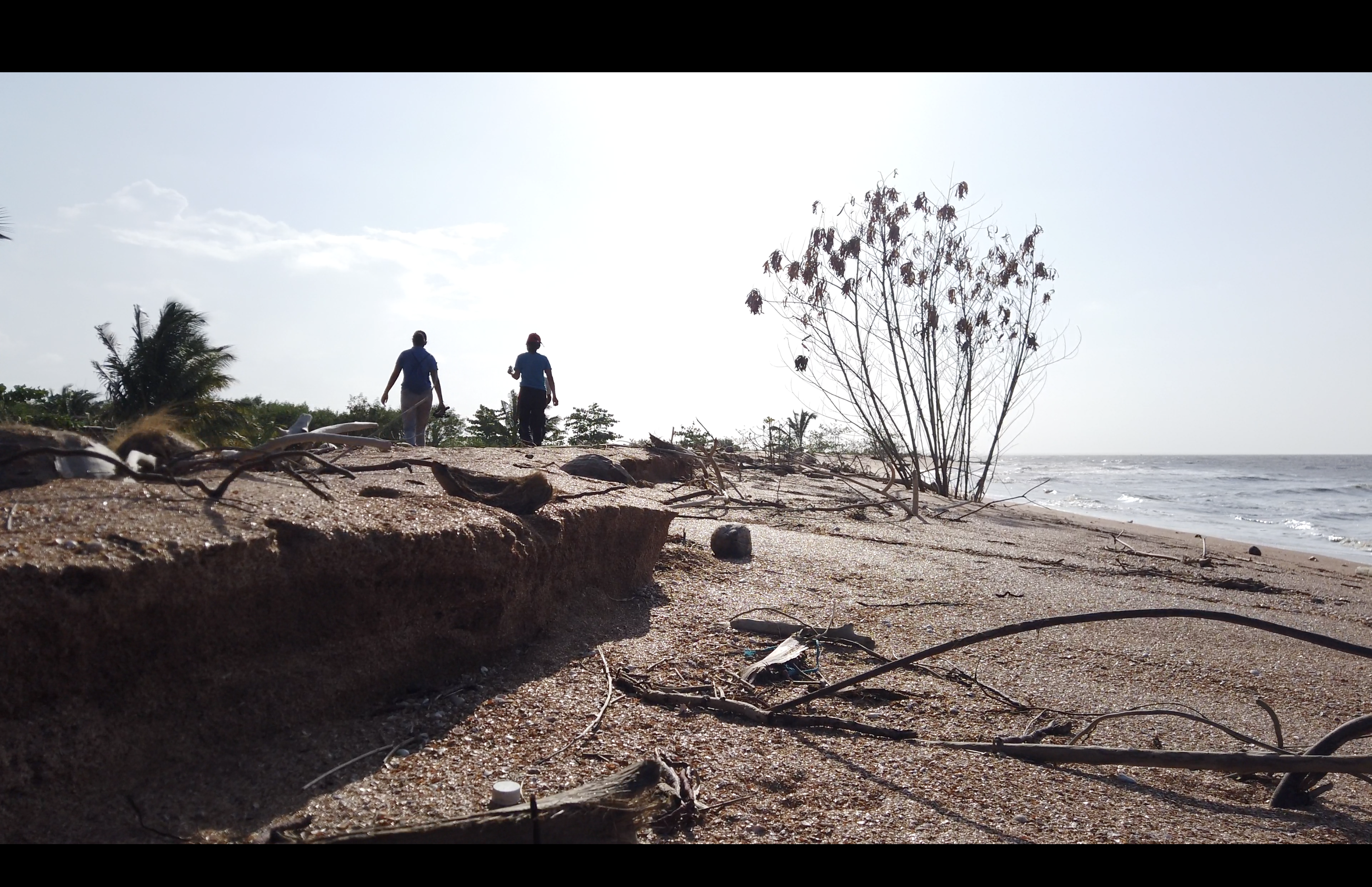 World Bank approves $45M project to help Guyana combat climate change