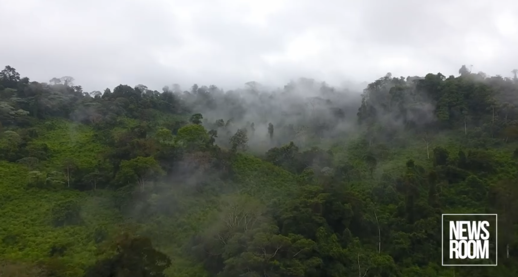 Carbon credit funds: Billions paid to indigenous villagers. How have they spent it?