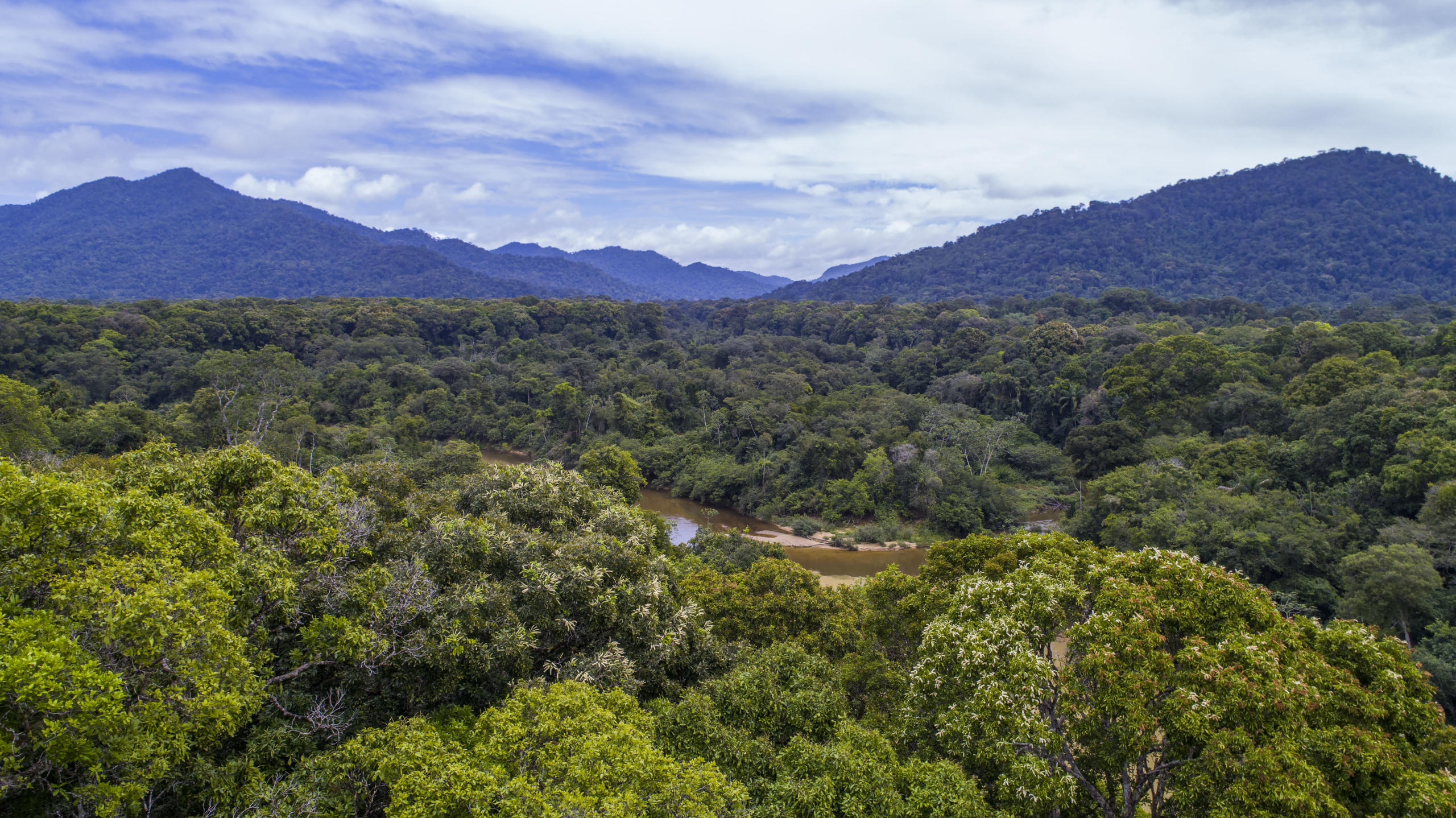 New project to help save plants, animals in Guyana