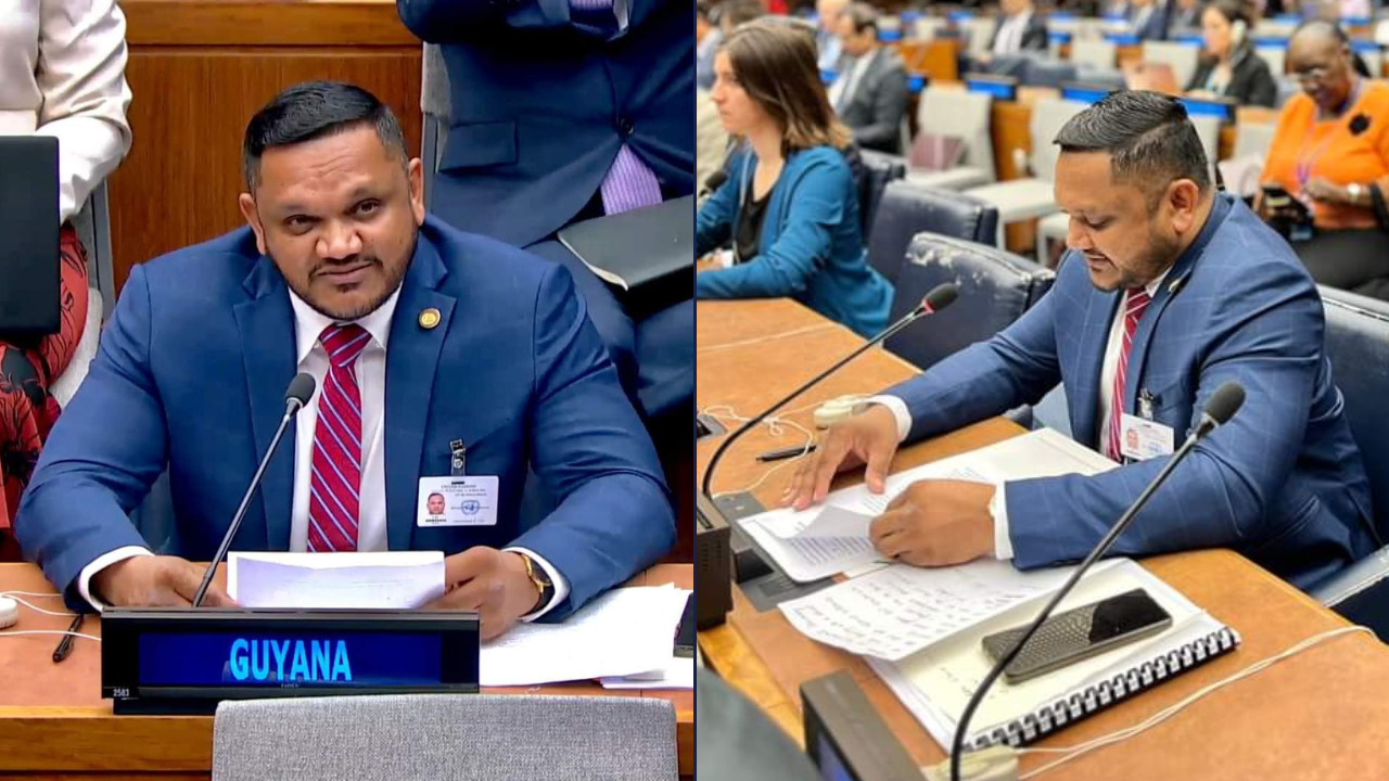 ‘Incentives needed to protect forests’ – Bharrat tells UN Forum