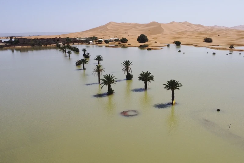 Flooding in the Sahara desert fills lake that had been dry for 50 years