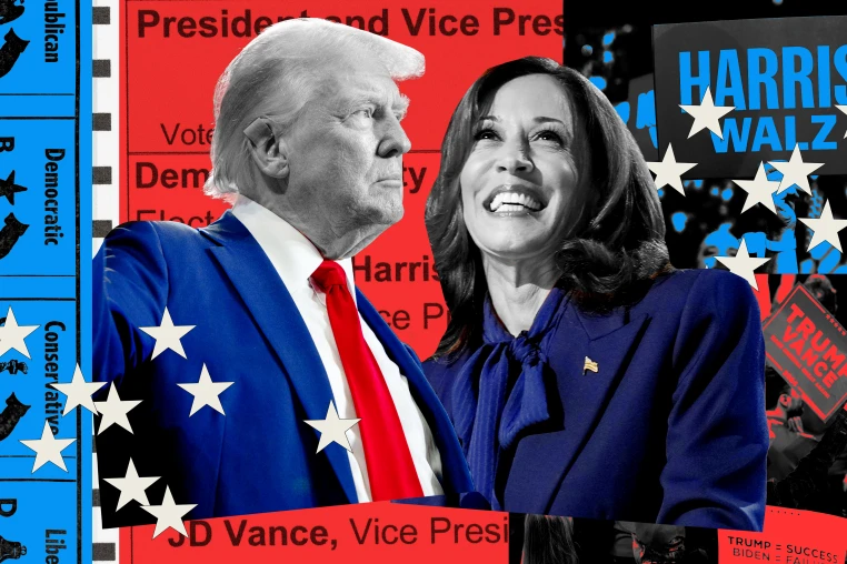 Fox News projects Donald Trump defeats Kamala Harris to become 47th US President