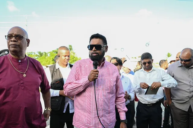 Massive, continuous support for productive sectors – President Ali