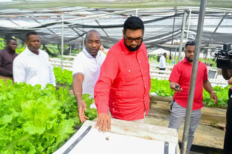 President Ali encourages youth to embrace modern farming practices
