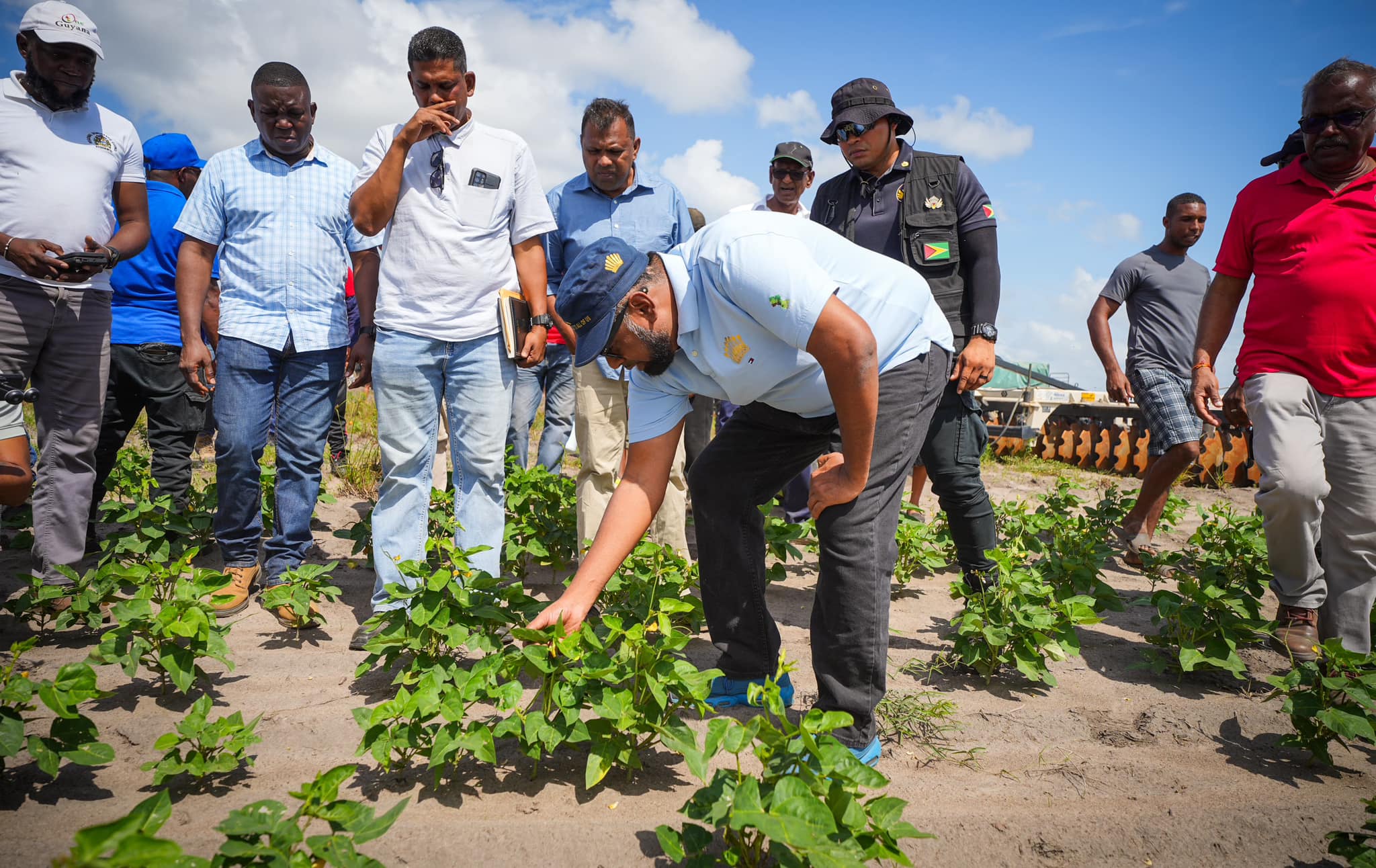 With another 1,000 acres of land, gov’t to expand red beans, black-eyed peas production – President