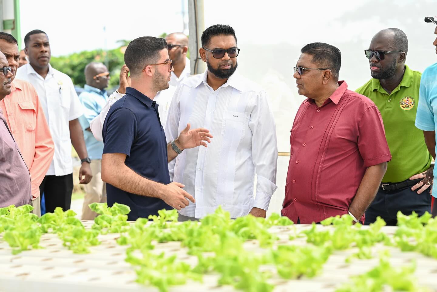 Pres. Ali applauds local farmers as study finds Guyana is only country to produce all the food it needs