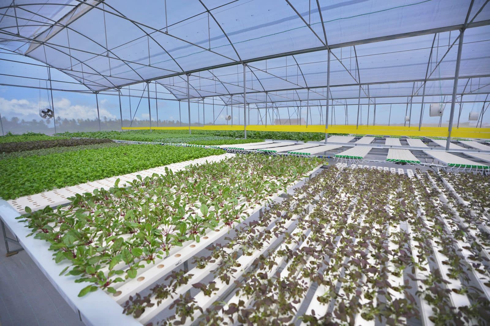 Gov’t building mega industrial, manufacturing & agro-processing hub for small businesses
