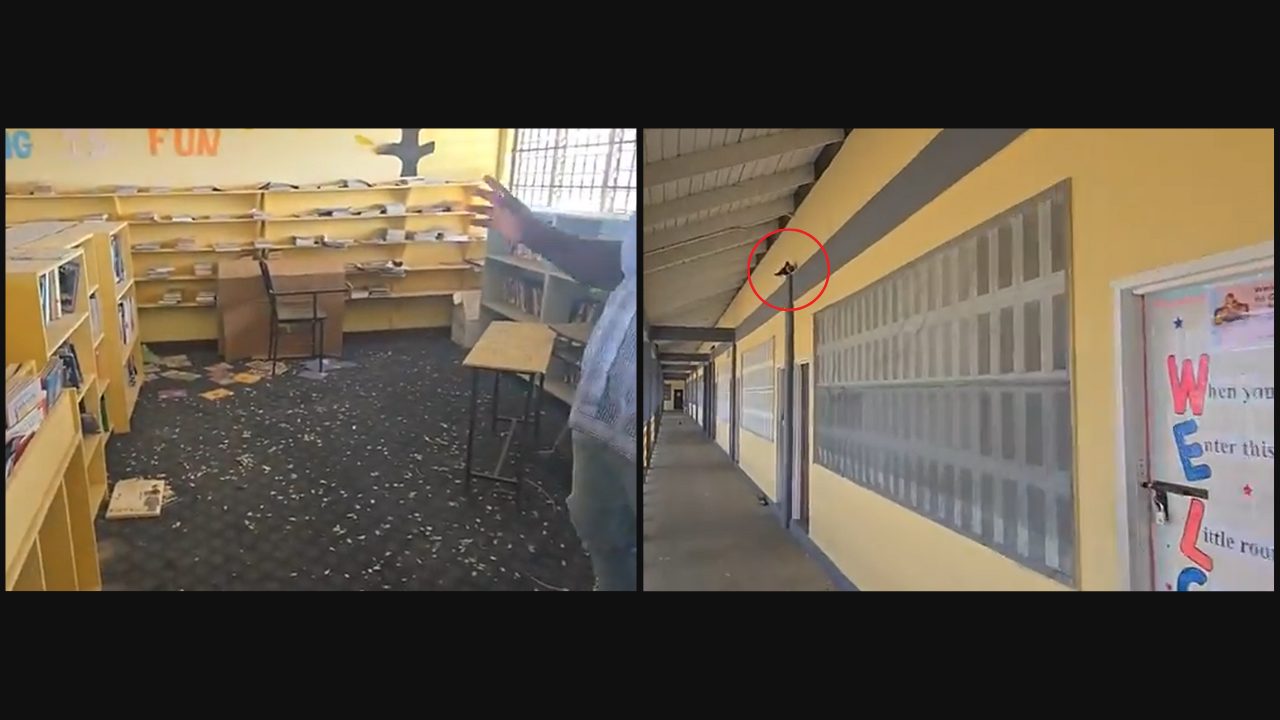 BV Quamina Primary School closed for two days as Education Ministry implements ‘permanent solution’ to pigeon problems 