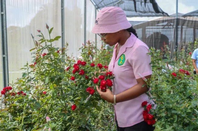 Women-led ventures making significant impact on overall production – Agri. Minister