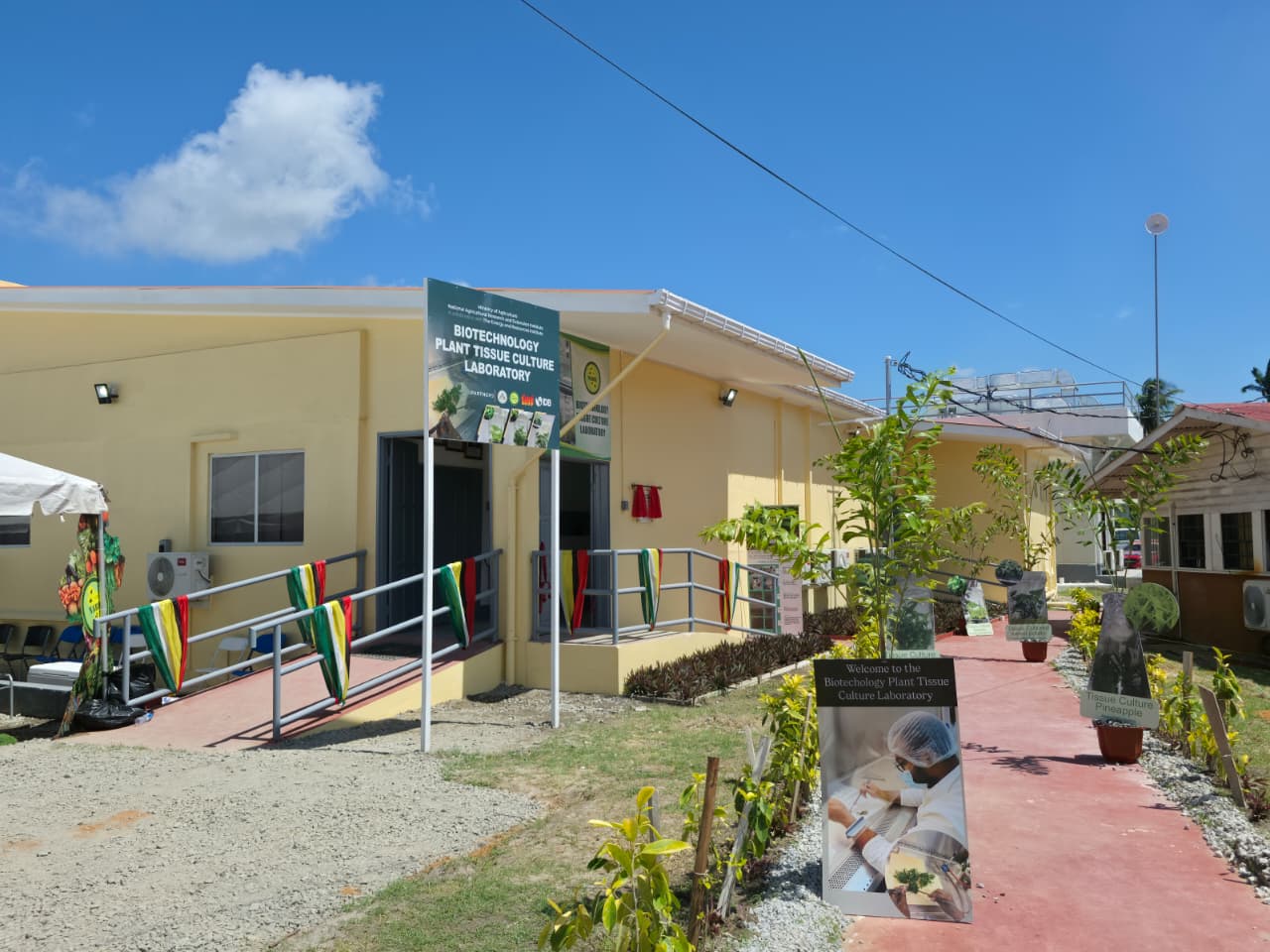 Crop production to increase with new $450 million tissue culture lab