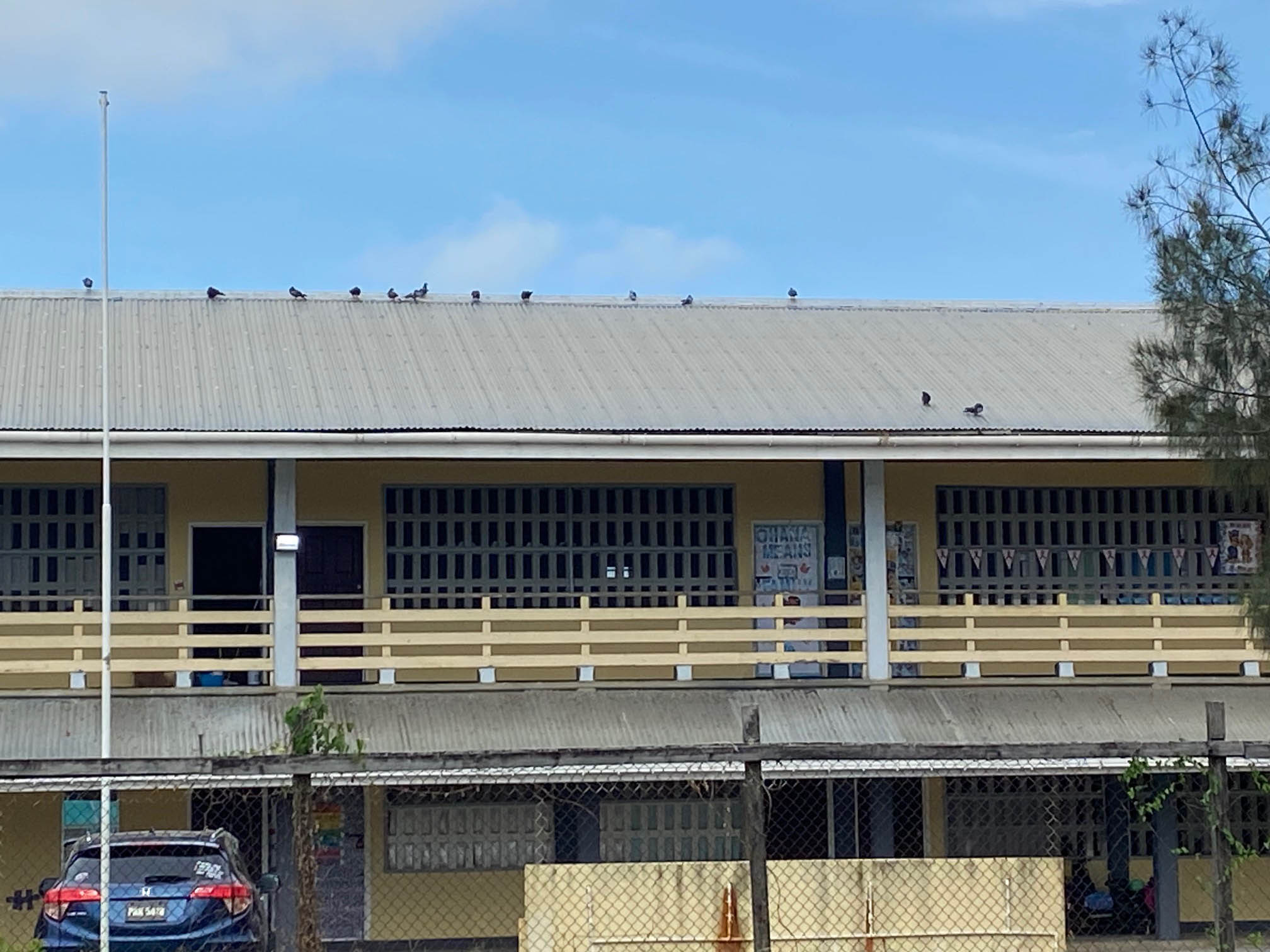 No teacher transferred from BV Primary School – Education Ministry