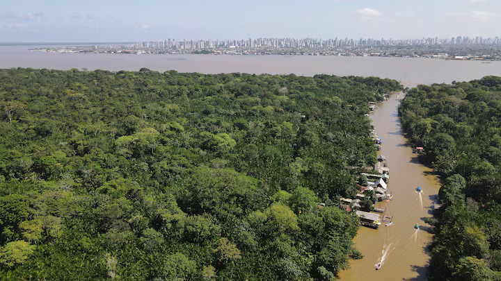 To make progress on deforestation at COP30, countries must be paid to keep forests standing