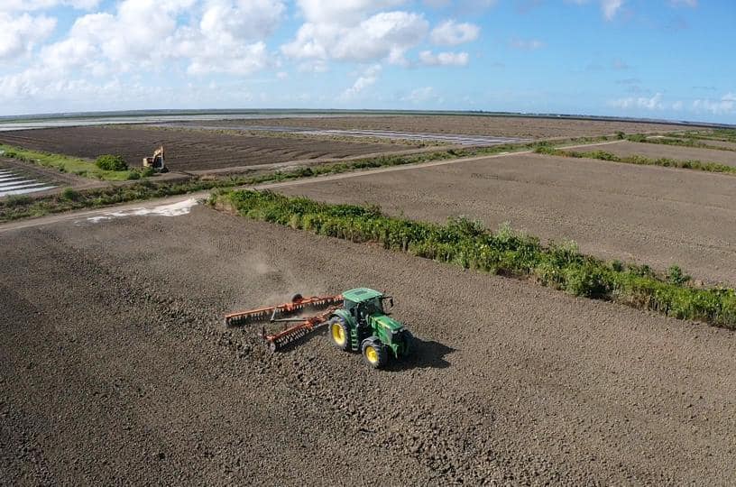 BUDGET 2026: Sugar gets $13.4B as GuySuCo to accelerate modernisation