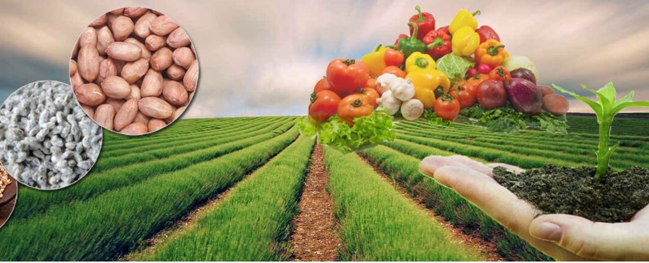 BUDGET 2026: Drainage and agro-processing lead $113.2B agriculture allocation
