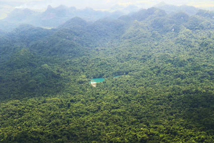 Belize Joins the Forest & Climate Leaders’ Partnership
